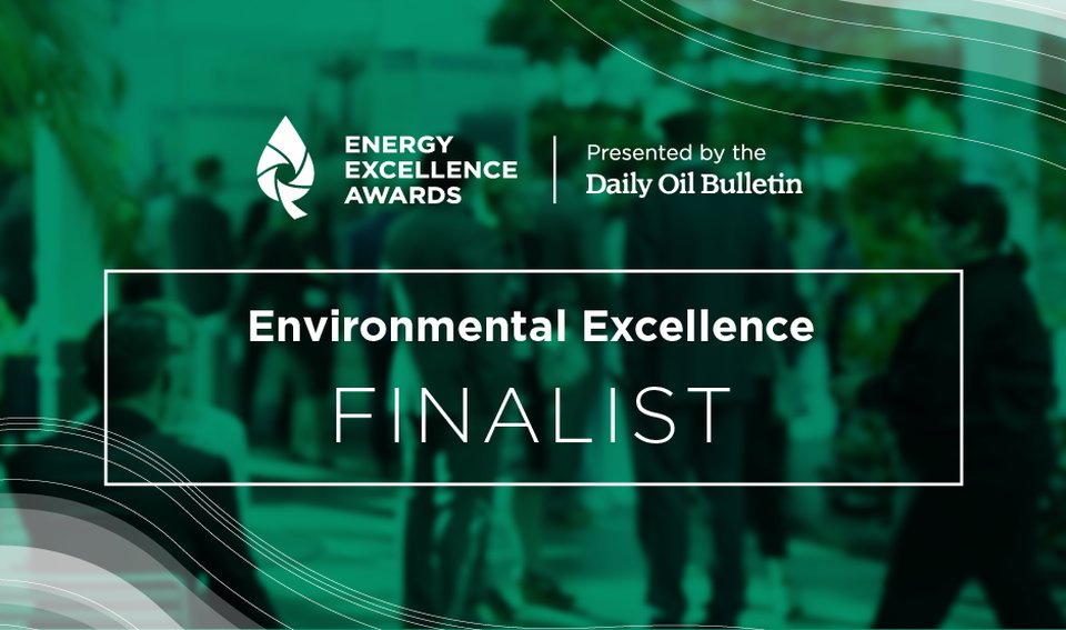 2020 EnergyExcellenceAwards Finalist