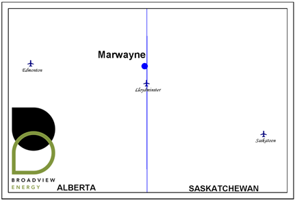 marwayne asset